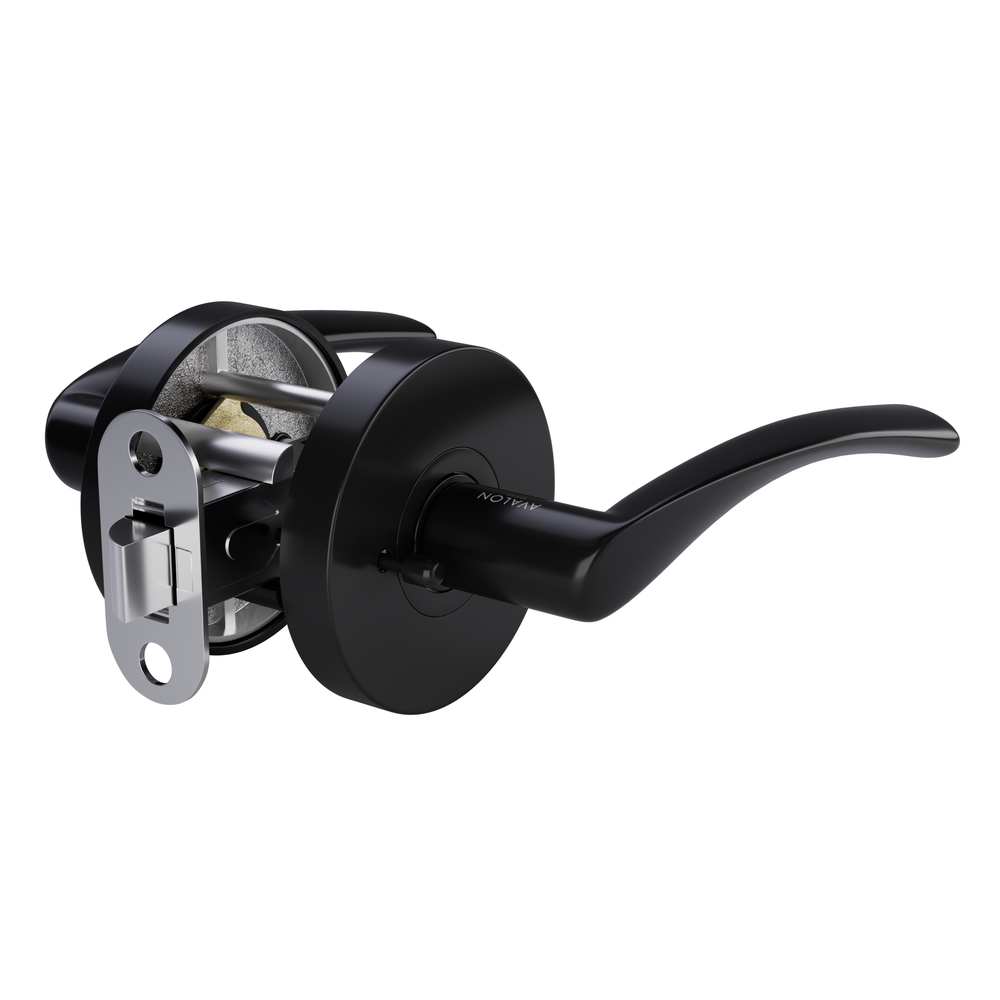 CHARM Modern Door Handle Set